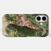 Coques Case-Mate iPhone girafe (Verso (horizontal))