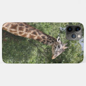 Coques Case-Mate iPhone girafe (Dos (Horizontal))