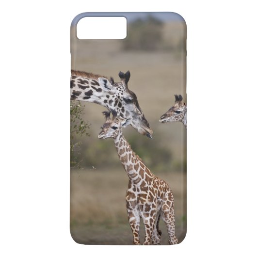 Coques Case-Mate iPhone Girafe maasaï (Giraffa tippelskirchi) (Dos)