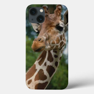 Etui iPhone 13 Giraffe