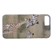 Coques Case-Mate iPhone Giraffe Masaï (Giraffe Tippelskirchi) (Dos (Horizontal))