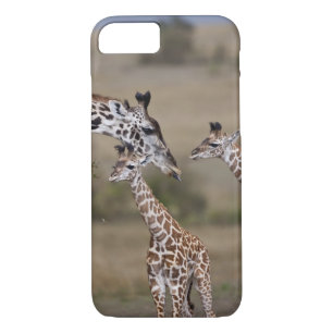 Coque iPhone 7 Giraffe Masaï (Giraffe Tippelskirchi)