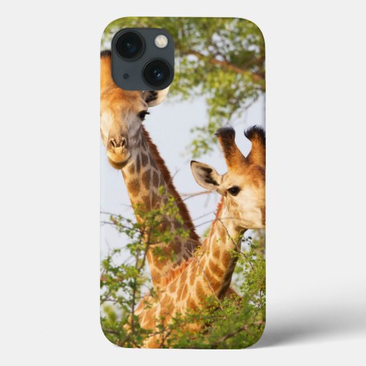 Coques Case-Mate iPhone Giraffes Peeking Above Vegetation (Verso)
