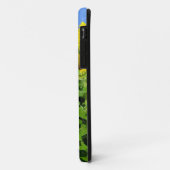 Coques Case-Mate iPhone Gisements de tournesol (Dos/Gauche)