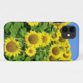 Coques Case-Mate iPhone Gisements de tournesol (Dos (Horizontal))