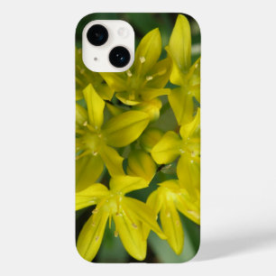 Coque Pour iPhone 14 Gloire de la neige