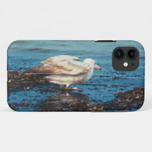 Case-Mate iPhone Case Goéland à hareng P1046