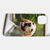 Coques Case-Mate iPhone Golden Labrador En Réarview Mirror (Verso (horizontal))