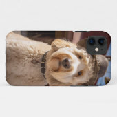 Coques Case-Mate iPhone Goldendoodle en Occident (Dos (Horizontal))
