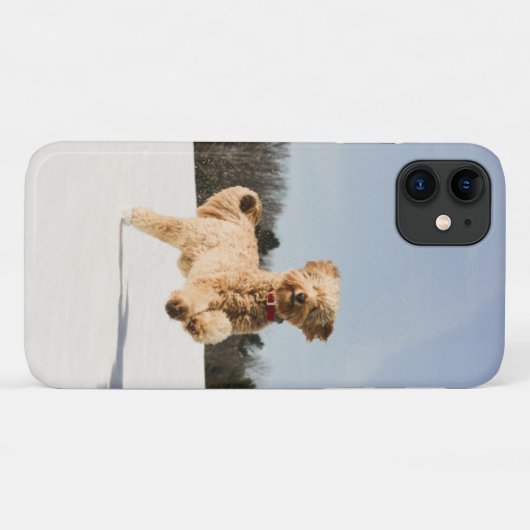Coques Case-Mate iPhone Goldendoodle Traversant Le Champ (Dos (Horizontal))