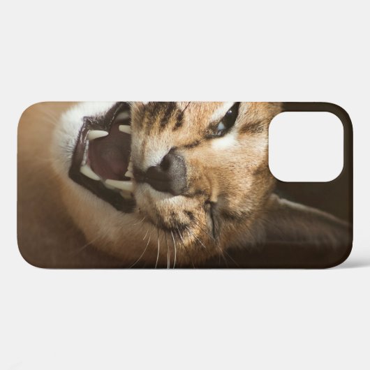 Coques Case-Mate iPhone Goofy Lynx (Verso (horizontal))