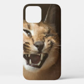 Coques Case-Mate iPhone Goofy Lynx (Verso)
