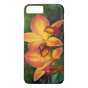 Coque Case-Mate Pour iPhone Gorgeous Orange Yellow Rhyncattleanthe Orchid