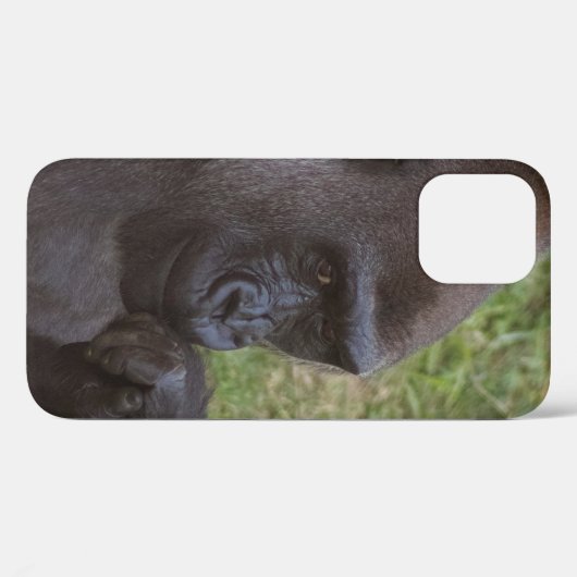 Coques Case-Mate iPhone Gorilla (Verso (horizontal))