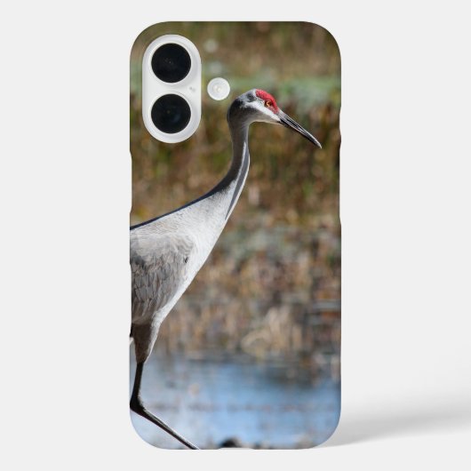 Coques Case-Mate iPhone Graine de Sandhill (Verso)