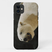 Coques Case-Mate iPhone Graine d'ours polaire (Dos)