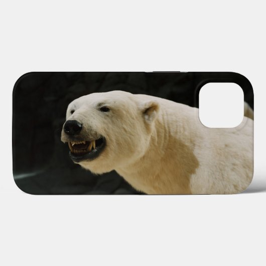 Coques Case-Mate iPhone Graine d'ours polaire (Verso (horizontal))