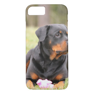 Etui iPhone Case-Mate Grand beau rottweiler