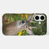 Coques Case-Mate iPhone Grand Buck dans les bois (Verso (horizontal))