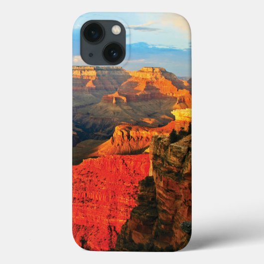 Coques Case-Mate iPhone Grand Canyon  (Verso)