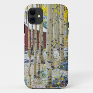 Coques Pour iPhone Grand Mesa Cabane isolée dans une forêt