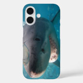 Coques Case-Mate iPhone Grand requin blanc (Verso)