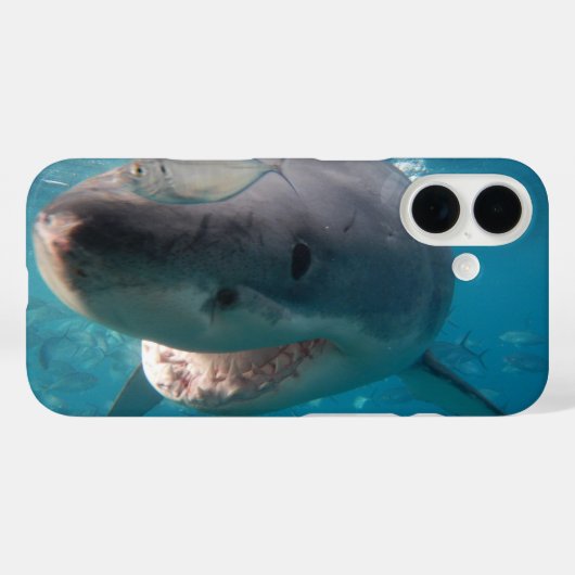 Coques Case-Mate iPhone Grand requin blanc (Verso (horizontal))
