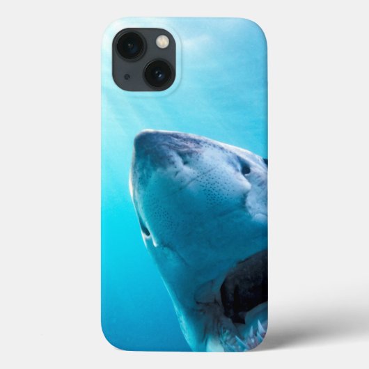 Coques Case-Mate iPhone Grand requin blanc | Afrique du Sud (Verso)