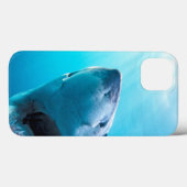 Coques Case-Mate iPhone Grand requin blanc | Afrique du Sud (Verso (horizontal))
