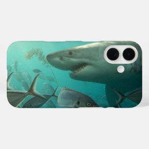 Coques iPhone 16 Grand requin blanc sous l'eau Australie Animal