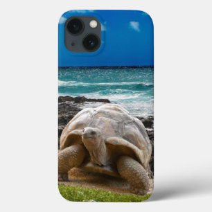 Case-Mate iPhone Case Grande tortue au bord de mer