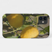 Coques Case-Mate iPhone Graphiques Citron Espagnol (Dos (Horizontal))