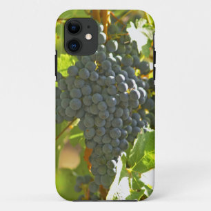 Coque iPhone 11 grappe de Cabernet Sauvignon dans le Château