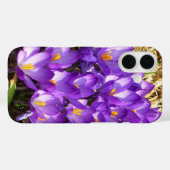 Coques Case-Mate iPhone Grappe de crocus violets Floralaison printanière (Verso (horizontal))