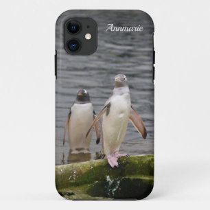 Case-Mate iPhone Case Gray Gentoo Penguin Edinburgh Zoo Écosse