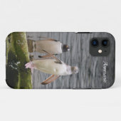 Coques Case-Mate iPhone Gray Gentoo Penguin Edinburgh Zoo Écosse (Dos (Horizontal))