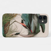 Coques Case-Mate iPhone Great Blue Heron Birds of America Audubon Imprimer (Dos (Horizontal))