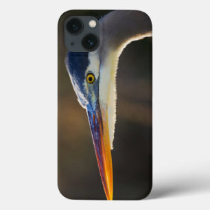 iPhone 13 Coque Great Blue Heron, close up portrait