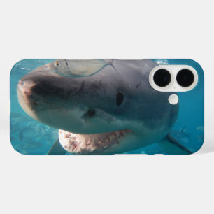 Coques iPhone 16 Great White Shark Smile Teeth Portrait Australie