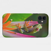 Coques Case-Mate iPhone Grenouille à oeil rouge, Costa Rica (Dos (Horizontal))