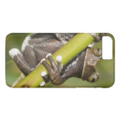 Coques Case-Mate iPhone Grenouille arboricole captive de Tapichalaca Hylos (Dos (Horizontal))