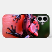 Coques Case-Mate iPhone Grenouille Artsy (Verso (horizontal))