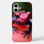 Coques Case-Mate iPhone Grenouille Artsy (Verso)