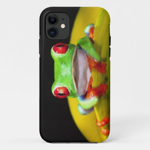 Case-Mate iPhone Case Grenouille aux yeux rouges, Agalychinis callidryas
