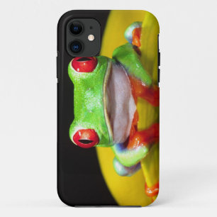 Etui iPhone Case-Mate Grenouille aux yeux rouges, Agalychinis callidryas