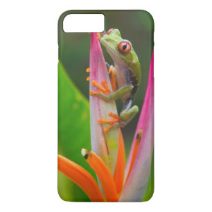 Coque iPhone 8 Plus/7 Plus Grenouille aux yeux rouges, Costa Rica