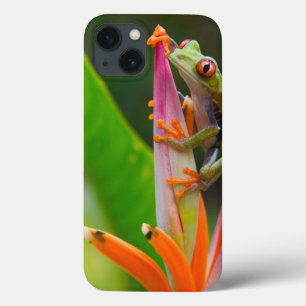 Coques Pour iPhone Grenouille aux yeux rouges, Costa Rica
