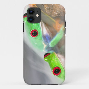 Coque iPhone 11 Grenouille aux yeux rouges dans le brouillard, Aga