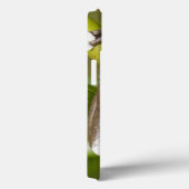 Coques Case-Mate iPhone Grenouille d'arbre captive de Tapichalaca (Verso / Droite)