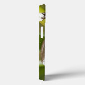 Coques Case-Mate iPhone Grenouille d'arbre captive de Tapichalaca (Verso / Droite)